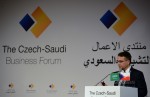 czech-saudi-business-forum-DSC_0843-1000